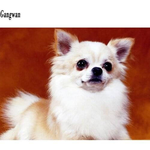 Full Square Round Diamond 5d Diy Diamond Painting chihuahua dog 3D Embroidery Cross Stitch Mosaic cute pet puppy Paintings decor