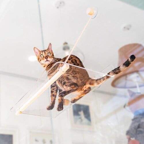 Товары для скалолазания и альпинизма Mrosaa China At AliExpress