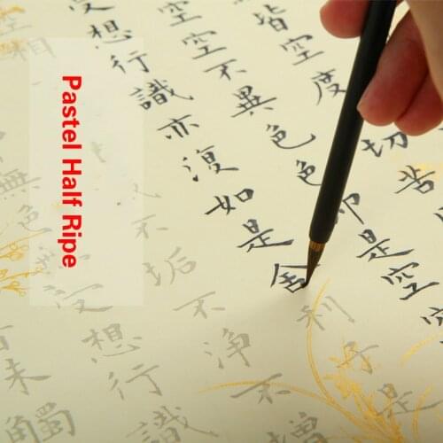 Brush Copybook Copying Heart Sutra Copybook Pastel Half Ripe Tracing Rice Paper Small Regular Script Calligraphy Copybook