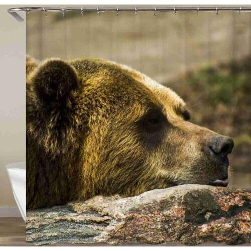 Lovely Bear Shower Curtain Baby Bear Animals Bathroom Curtain Waterproof Fabric With Hook 72x72 Inch