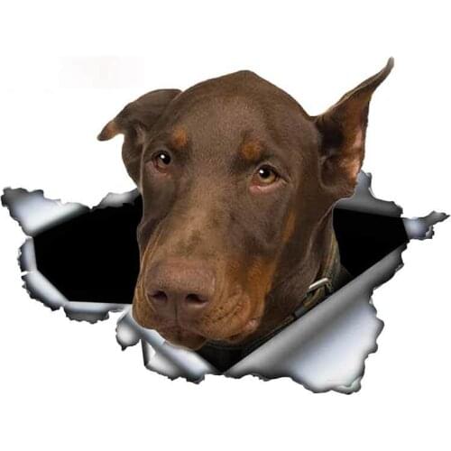 Personality Miniature Pinscher Car Stickers Torn Metal Original Design Vinyl Rear Windshield Trunk Custom Decal Pet Dog Graphic