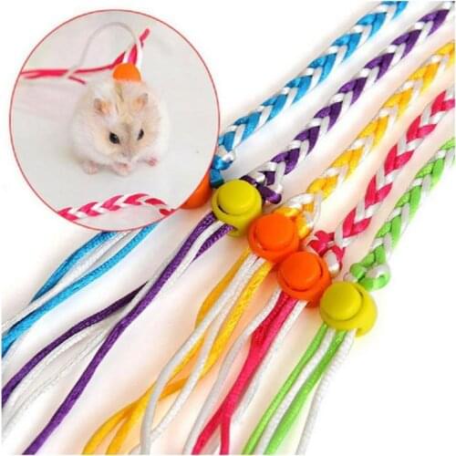 Adjustable Rope Hamster Leash Lead Pet Rat Mouse Harness Random Color