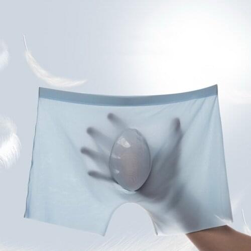 Puimentiua Mens Silk Briefs