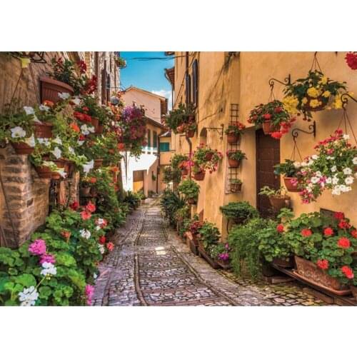 Dpsupr Diamond Painting 5D Full Square/Round Street Flower Daimond Rhinestone Embroidery Painting Cross Stitch Mosaic Gift H012