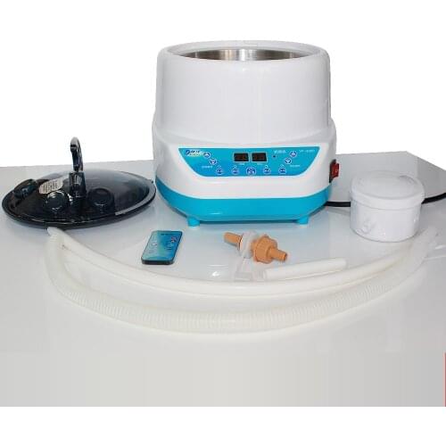 Steam generator 220V / 110V plug 2000W larger capacity 4L steam pot for home sauna