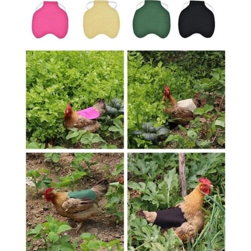 Hen Saddle Apron Feather Back Protector Single Shoulder Strap Standard Chicken Jacket Household Poultry Supplies