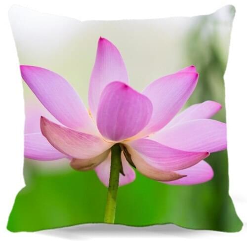 A Blooming alone of pink lotus Square Cushion cover Cotton polyester bedroom/chair/car/sofa seat 16 18 20 inches 9 style