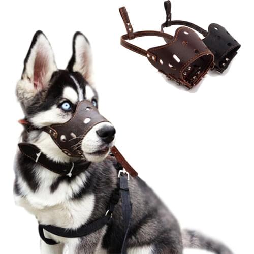 Inspaws Muzzles For Dogs