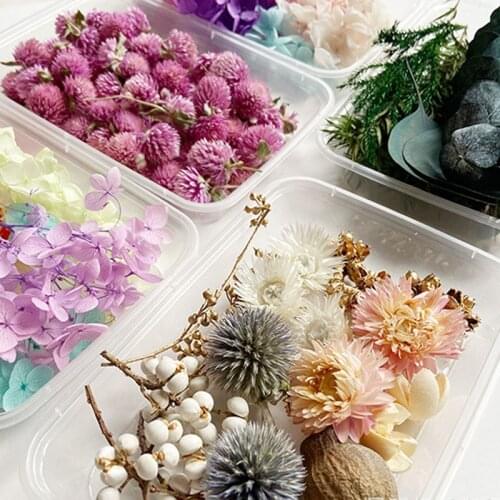 New 1Box Dried Flowers Real Dry Plants for Wedding Decoration Making Craft DIY Accessories Aromatherapy Candle Necklace Pendant