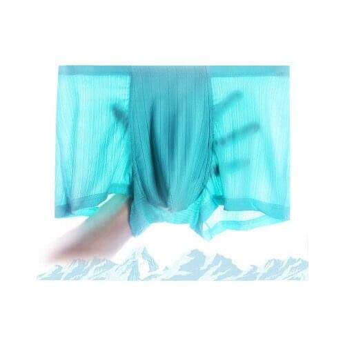 2019 hot Men Boxer Shorts sexy underwear ice silk Masculina Hombre Slips Interior Home Underwear men Penis Pouch Boxers