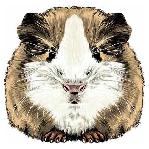 Cartoon Guinea Pig Funny Car Stickers Sunscreen RV VAN Fine Decal JDM Car Accessories Logo KK Vinyl Cover Scratches PVC