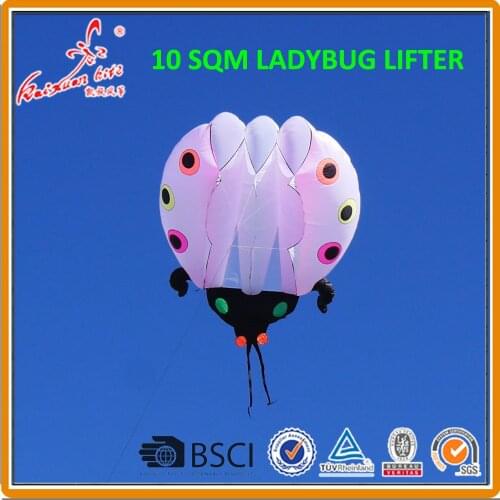 10 sqm Ladybug Kite, soft kite, show kite, Lifter