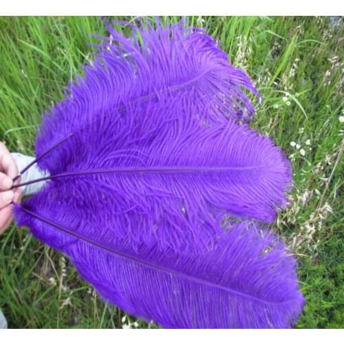 Wholesale Beautiful purple ostrich feathers 50pcs 16-18 inches / 40-45 cm Free Shipping