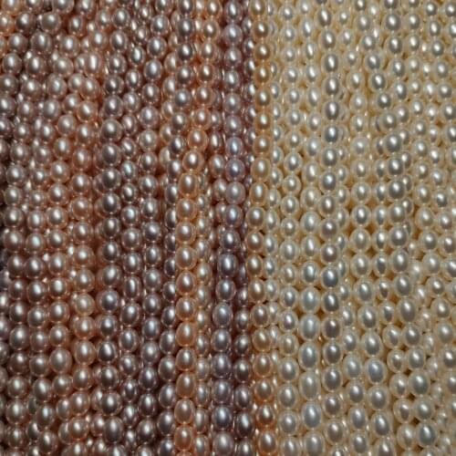 5-6mm Rice Natural Freshwater Pearl Classic Choker Necklace Single Strand For Women 37cm