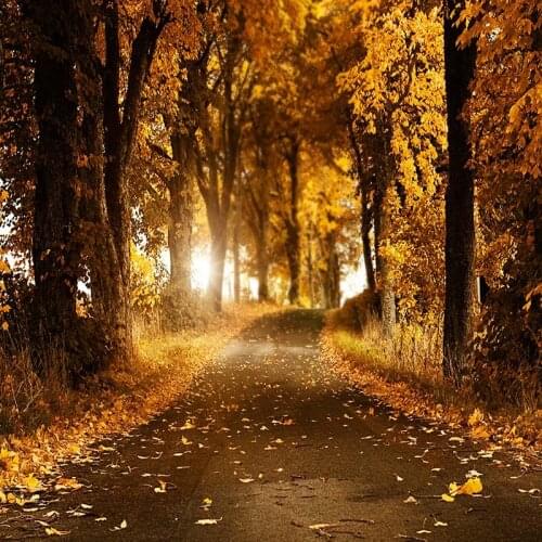 5X7ft Photography Backdrops Autumn Scenic Falling Leaves Woods Customized props photocall Background for photo studio CM-6254