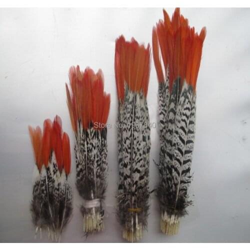 Natural Golden pheasant Tail Feather 100pcs/lot 5-30 cm Long Red tip Lady Amherst Pheasant plume jewelry clothing free shipping
