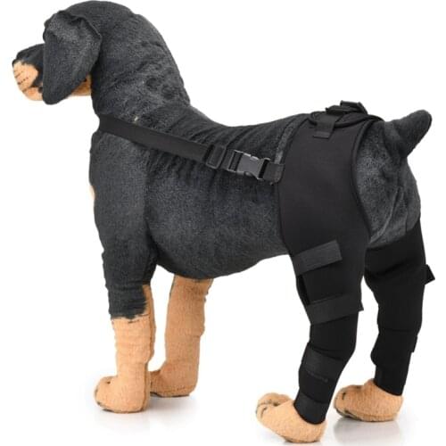 Pet Elbow Pad Dog Support Brace For Hind Leg Joint Wrap Breathable Injury Recover Legs Dog Support Protector Sleeve Bandage