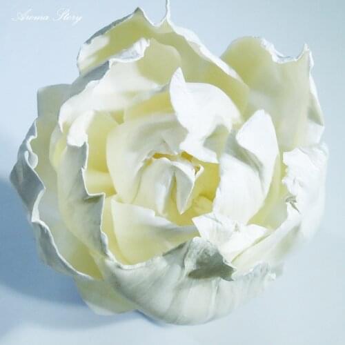 10pcs/lot Free shipping High Quality Dried Peony Flower Artificial Sola Flower Wedding Party Home Garden Decorations