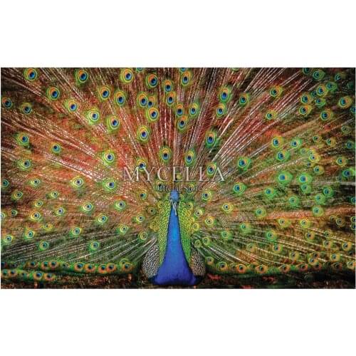 5D Diy Diamond Painting,Cross Stitch,Full Diamond Embroidery,Birds,Animals,Peacock,Christmas,Diamond Mosaic,Needlework,Gifts