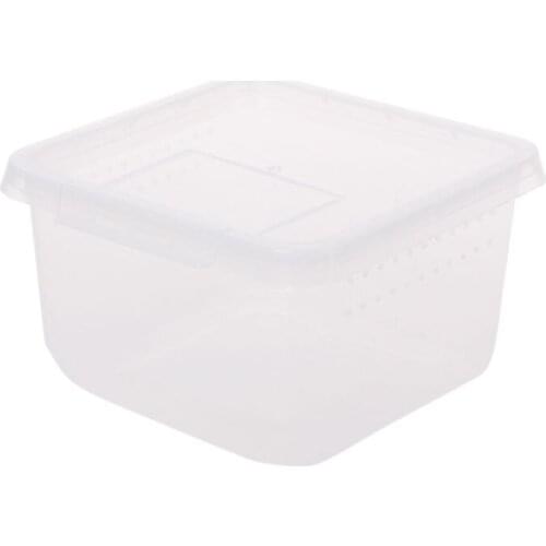 Reptile Terrarium Feeder Breeding Box Tortoise Spider Lizard Beetle Insect House plastic reptile accessories