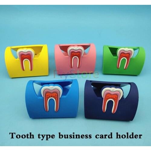 1pcs Dental Card Holder Colorful Rubber Teeth Molar Shape Dentist Gift Phone Card Name Storage Dsiaply Stand For Clinic