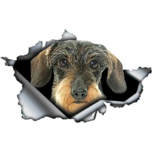 S50202# 13/15/17CM Personality PVC Decal Dachshund 3d Torn Car Sticker on Motorcycle Laptop Decorative Accessories