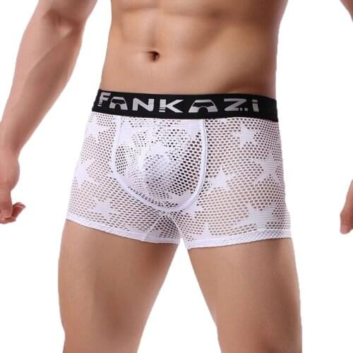 Mens Fishnet Boxer Shorts Mesh See Through Lingerie Underwear Quick Dry Swimwear Sleep Bottoms Trunks Gay Panties Erotic Boxers