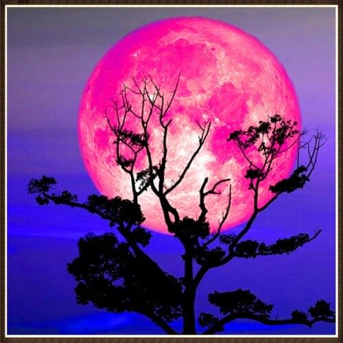 Custom full circle 5D diamond painting moon landscape DIY diamond embroidery kit mosaic home decoration ornaments