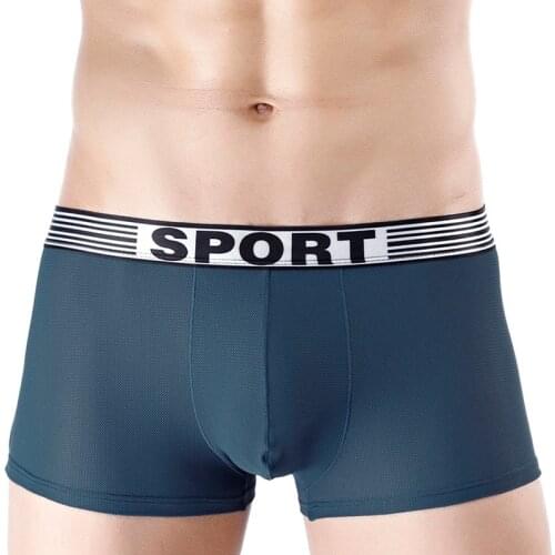 Mans Underwear Mesh boxer Ice silk Sexy Ultra-Thin Jockstrap Male Underpants Low Waist Mens Boxer Panties Boxershorts