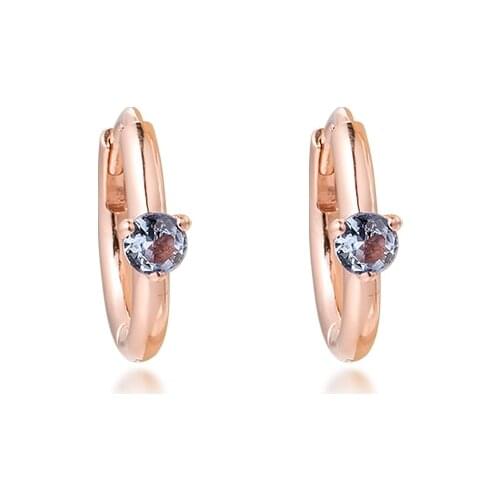 Spring Collection Aesthetic Hoop Clear CZ Rose Golden Free Shipping Wholesale Jewelry Circle Round Female Earrings for Women