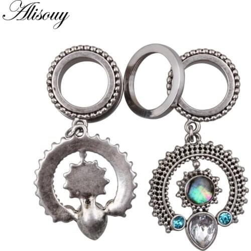 Alisouy 1 Pair Stainless Steel Pendant Ear Plug Tunnels Ear Piercings Screw Expansion Ear Stretched Tunnels Body Jewelry