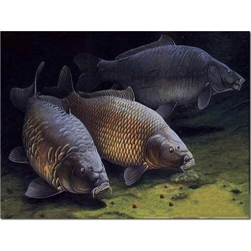 DIY 5D Diamond Painting carp fish diamond mosaic Full square round drill all Set Rhinestone Cross Stitch animals home painting