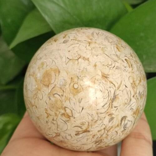 Dinosaur Bones Quartz Crystal Ball Natural Fossil Gemstone egg 1pc