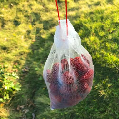 50 Pcs Fruit Vegetable Protection Cover Grow Bag Anti- Bird Plant Protective Bag Drawstring Nylon Mesh Agricultural Pest Control