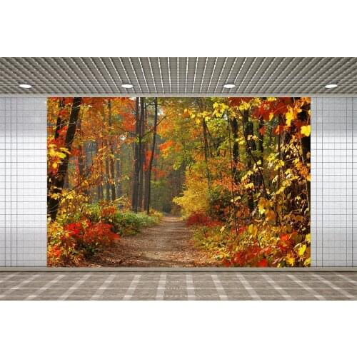 Lyavshi Photography Backgrounds Fall Autumn Forest Yellow Vinyl Photographic Background Photophone Photo Studio Props