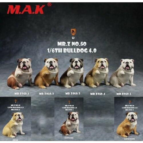MRZ050 Mr.Z 1/6 Bulldog V4.0 Resin Dog Animal Figure Scene Decoration Cute Dogs For Collection In Stock