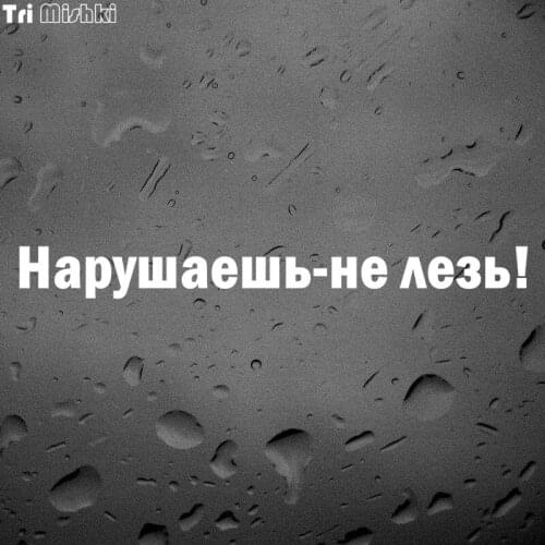 Tri Mishki HZX957 30*3.5cm Break-do not go! car sticker auto Windscreen Vinyl Decals Accessories Sticker