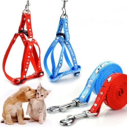 120cm Width 1.5cm High Quality Small Medium Dog Harness and Leash Set Cartoon Nylon Pet Walking Leash for Dog Cat Doggy