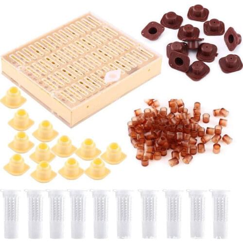 1 Set Bees Tools Cages King Queen Rearing Cupkit System Bee Beekeeping Catcher Box Cell Cups Cage Nicot Complete Kit