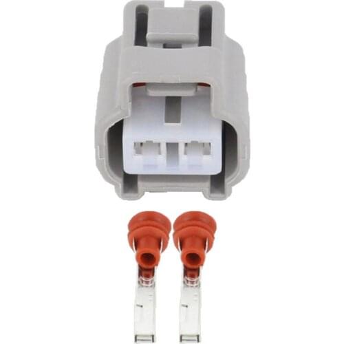 2pin connector Automotive wiring harness connector connector with terminal DJ7025-2.2-21 2P