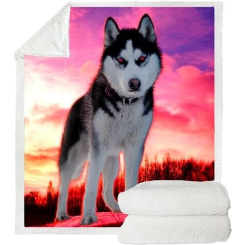 3D Printing Harajuku Fashion Animal Bedspread Photography Plush Blanket Bedding Outlet Siberian Husky Sherpa Throw Blanket B106