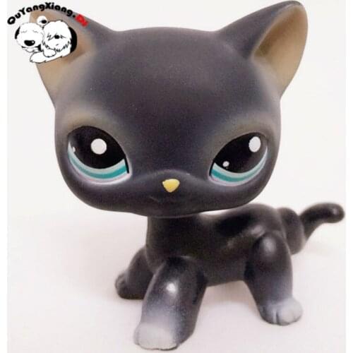 CWM013 Pet Shop Animal Yellow nose Black cat doll action Figure kitten
