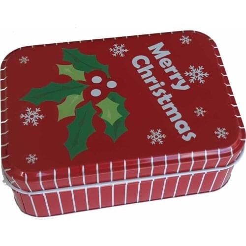 Metal Hobby Box (19x13x6.5cm)