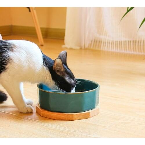 Ceramic Cat Bowl Dog bowls Pet Dish for Food and Water with Bamboo stand Non-Slip Rubber Base