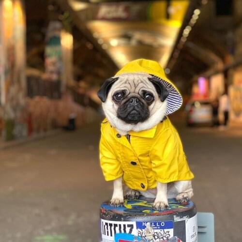 2020 New Pet Dog Raincoat Waterproof Windproof Dog Clothes small And Medium-Sized Dog Chihuahua Pug French Bulldog Pet Jacket