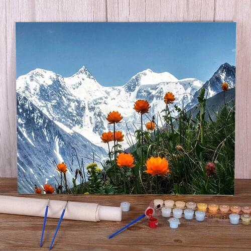 Flower Landscape Coloring By Numbers Painting Package Acrylic Paints 40*50 Canvas Painting Loft Wall Picture Handiwork