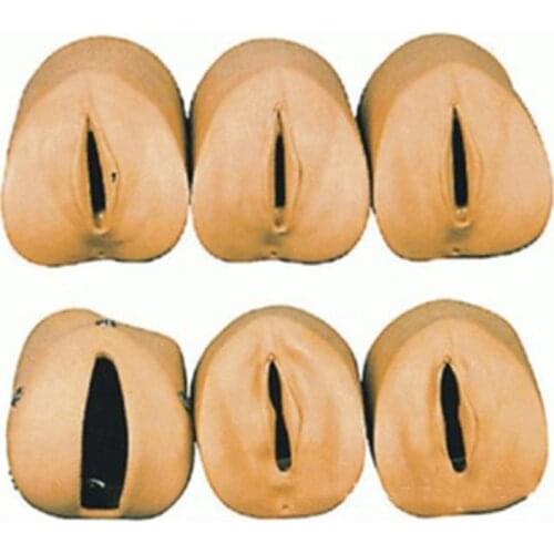 Chinon Advanced Cervical Change And The Relationship Of the Birth Canal Model Medicine Student Medical Science Education BIX-F9