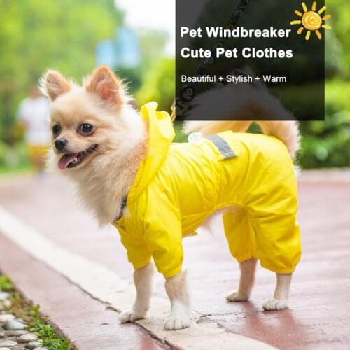 Impermeable Teddy Bear Coat Raincoat Dog Clothes Chubasquero Perro Pet Capa De Chuva Mascotas Jas Hujan Ropa Regenjas Pets Rain