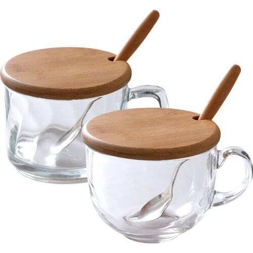 450ml Glass Transparent Cups Large Milk Cup With Wooden Lid Oat Glass Transparent Mug Flower Tea Cup Coffee cup