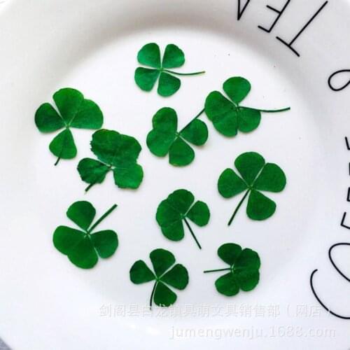 10Pcs Dried Leaf Clover UV Resin Decor Nail Art Epoxy Mold DIY Filling Jewelry Jy28 21 Dropshipping